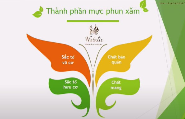 Thành phần mực phun xăm thẩm mỹ an toàn và cấu trúc pigment dưới góc nhìn khoa học
