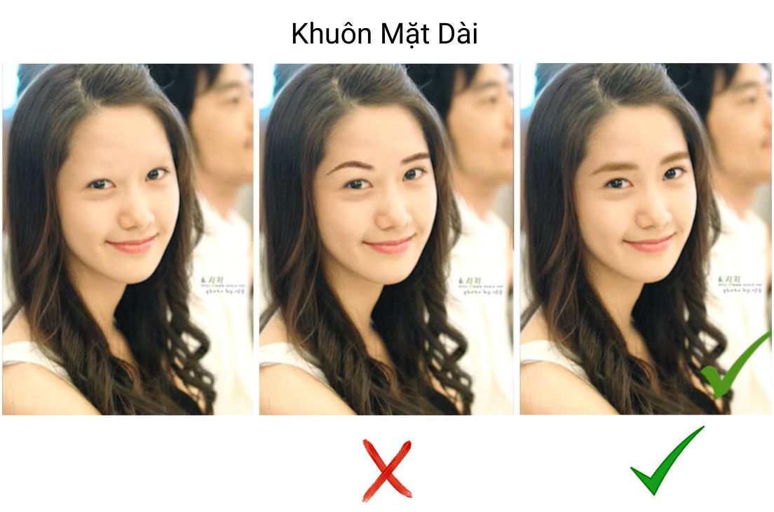 cach-ve-long-may-cho-mat-dai
