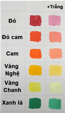 tac-dung-cua-mau-trang-trong-khu-tham