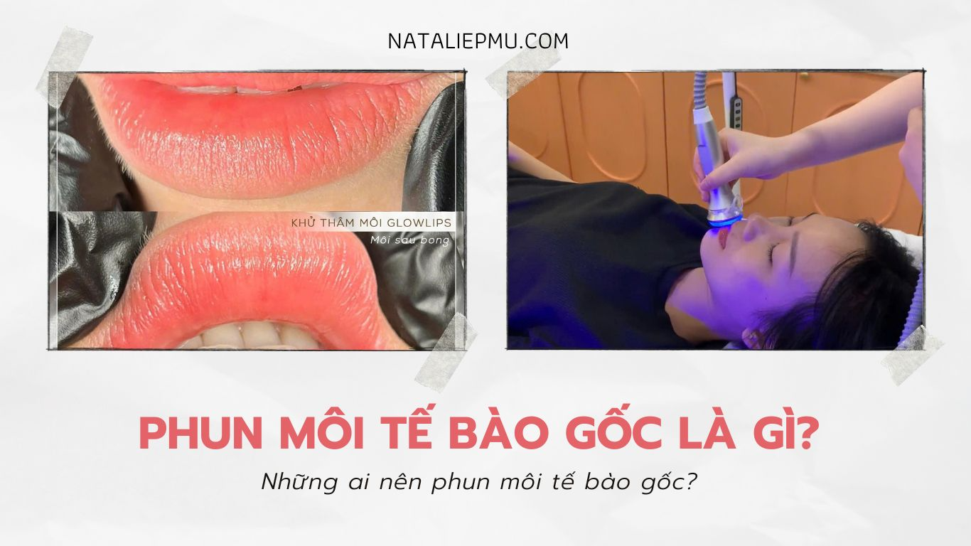 Phun Môi Tế Bào Gốc Là Gì? Những Ai Nên Phun Môi Tế Bào Gốc?